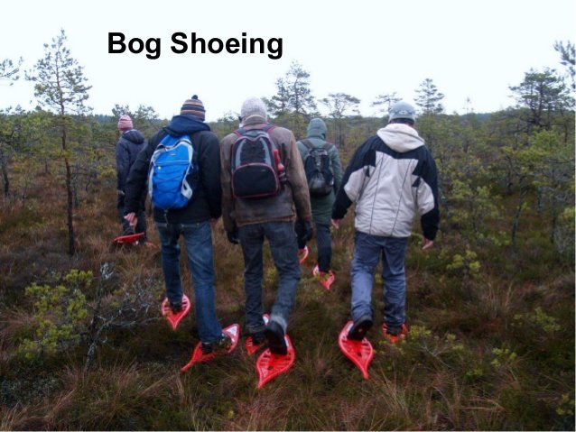 Bog Shoeing